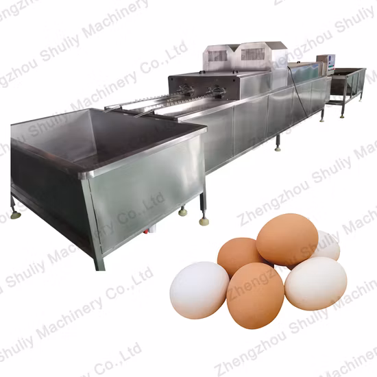 Automatic Egg Washing and Sorting Machine with Factory Price