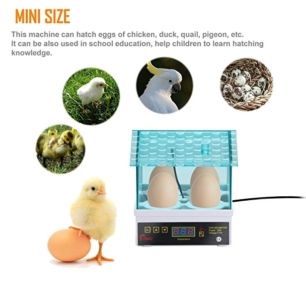 Hhd Professional Cheap Mini Egg Incubator for Sale for Children