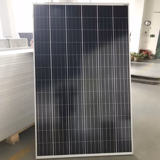 Farming Solar 176 Eggs Automatic Setter Hatcher Machine Industry Chicken Incubator