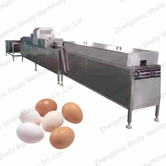 Automatic Egg Washing and Sorting Machine with Factory Price