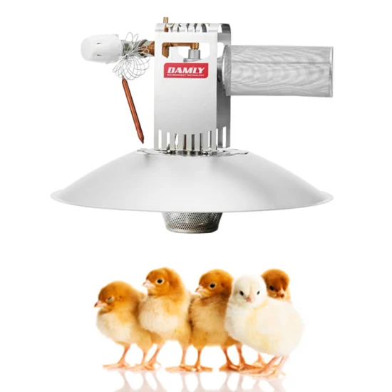 安い工場価格、良質の養鶏場のひよこ加熱ランプ