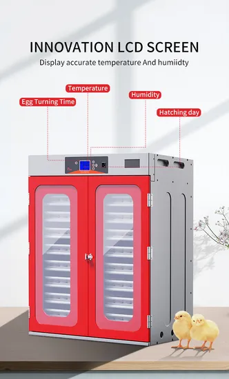 新しい中国製 HHD レッド インキュベーター チキン ブリーダーはドバイでベストセラー